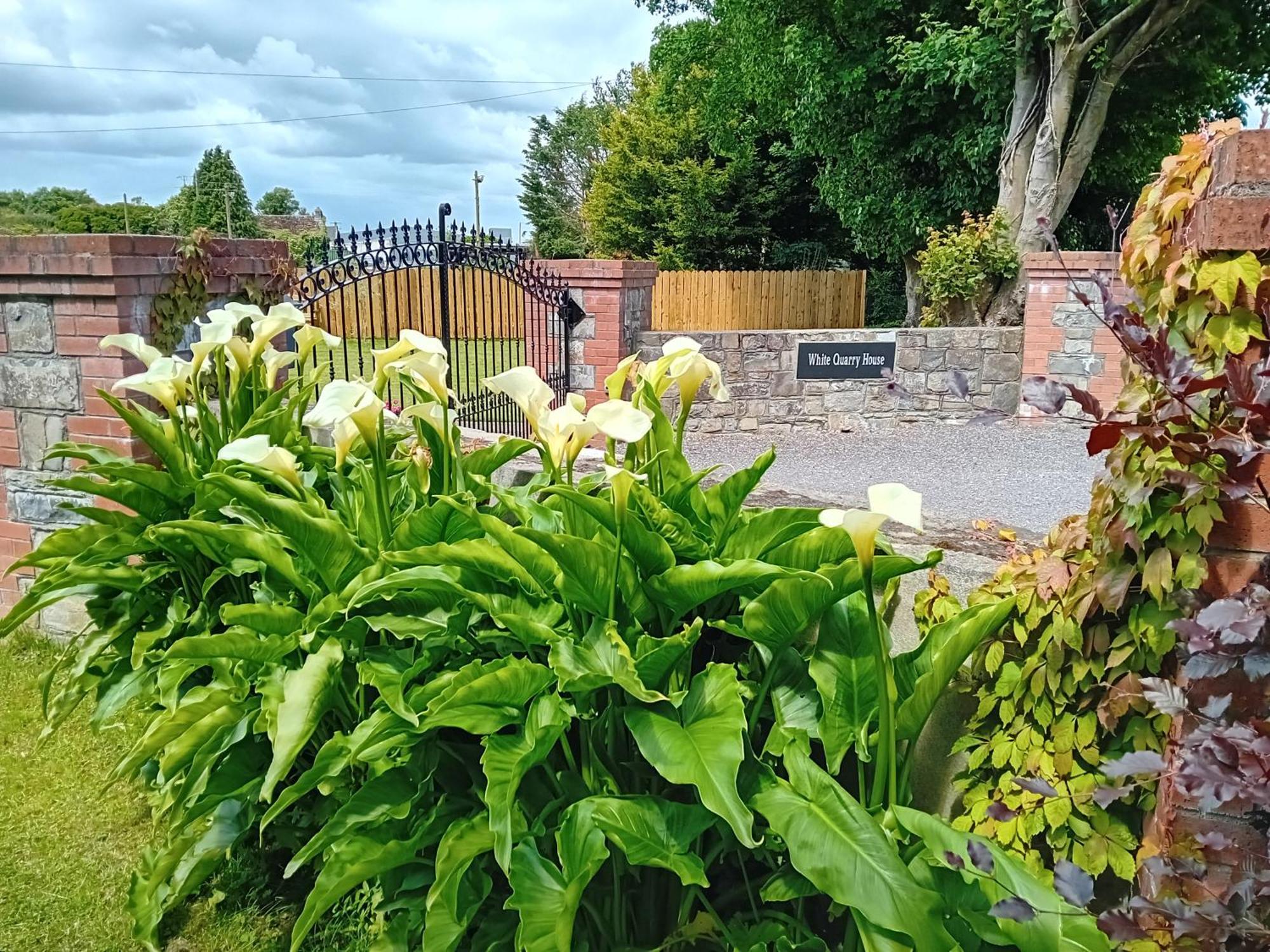 纳文White Quarry House公寓 外观 照片